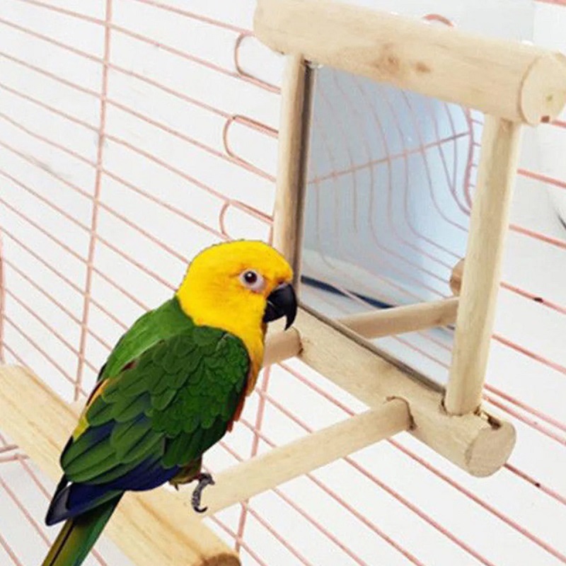 Juguete de espejo para pájaros con soporte de percha para loros, periquitos, cacatúas, Conure, Finch, Lovebird, arara canaria, cacatúa de Amazon