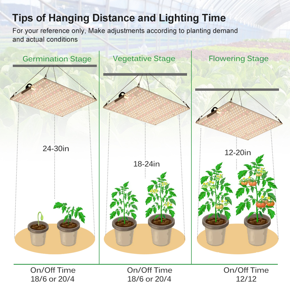 Led cresce a luz espectro completo 100w 150 200 lm281b phyto lâmpada alto brilho luz crescente interior para todas as plantas de palco