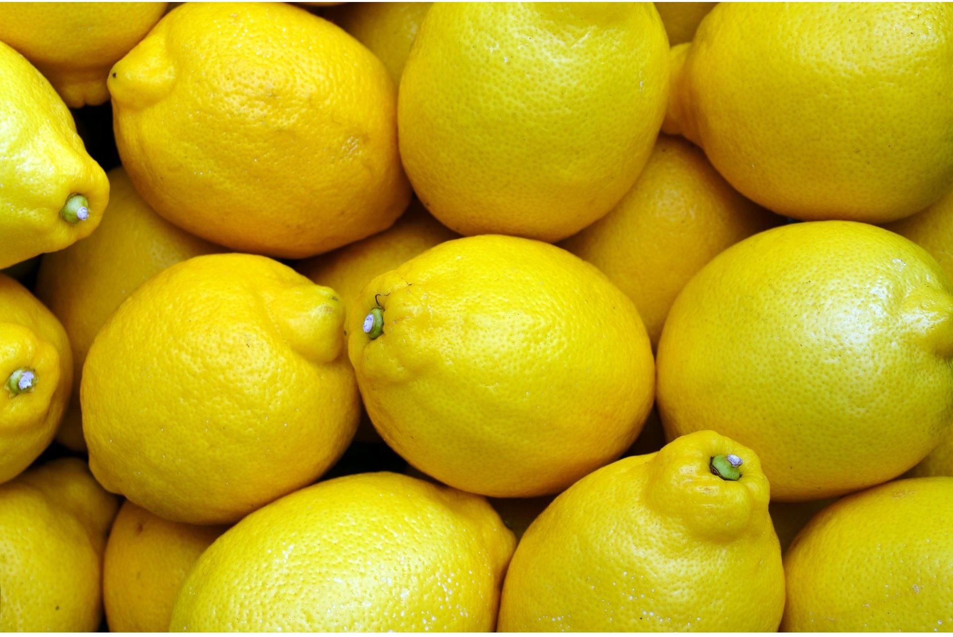 Deliciosos limones de calidad 4 kilo o 9 kilo estándar con un sabor, forma y textura muy agradables