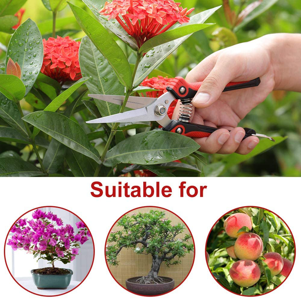 Cesoie da potatura Forbici da potatura a mano ultra affilate in acciaio inossidabile resistenti per la raccolta di frutta e verdura da giardino