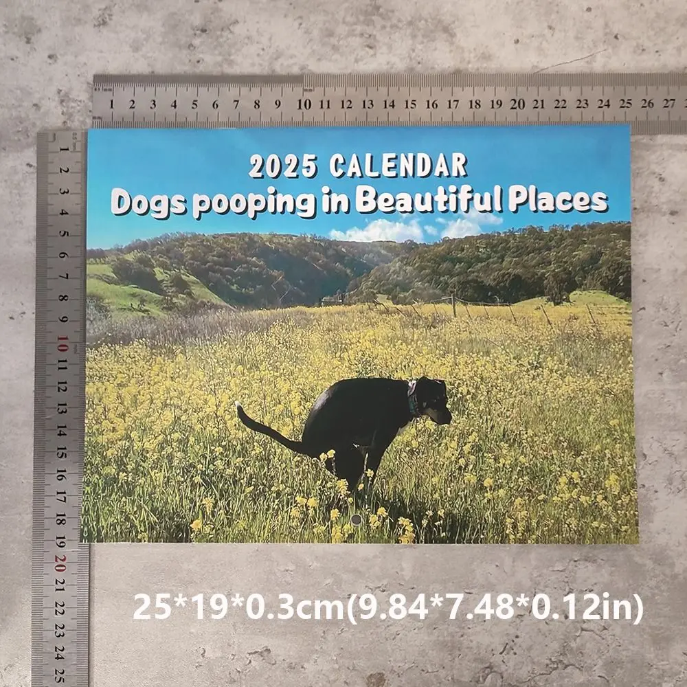 Calendario de pared de perros divertidos, planificador diario semanal mensual, creativo, regalo de escritorio divertido, 2025