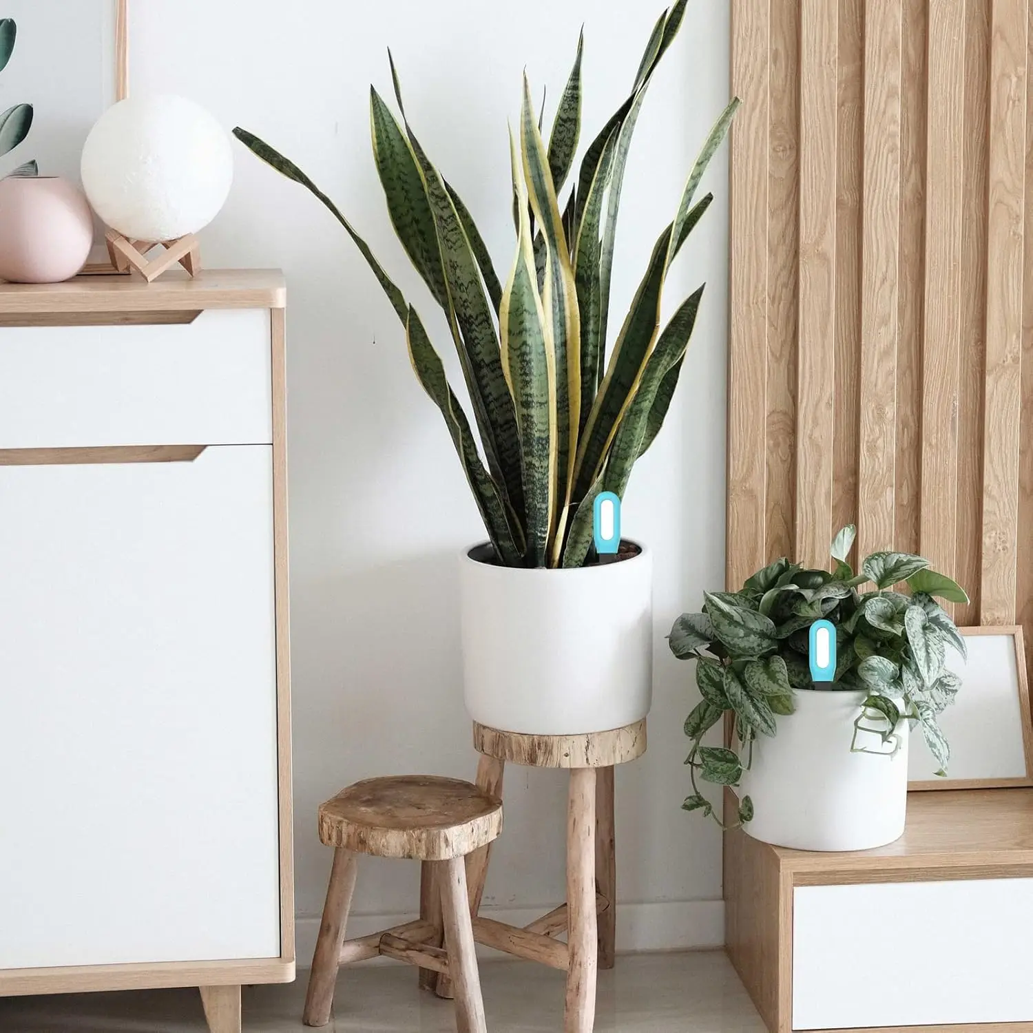 Tuya-probador inteligente de suelo Zigbee con Bluetooth, Sensor de humedad, temperatura, aplicación de teléfono móvil, Monitor en tiempo Real para plantas y jardín