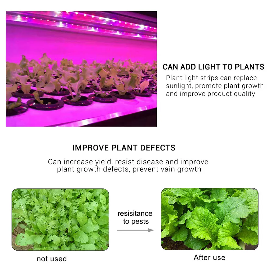 USB Full Spectrum LED Planta Crescer Luz Tira, Phyto Lâmpada, Vegetal, Flor, Mudas, Barraca, DC, 5V, 2m, 3m