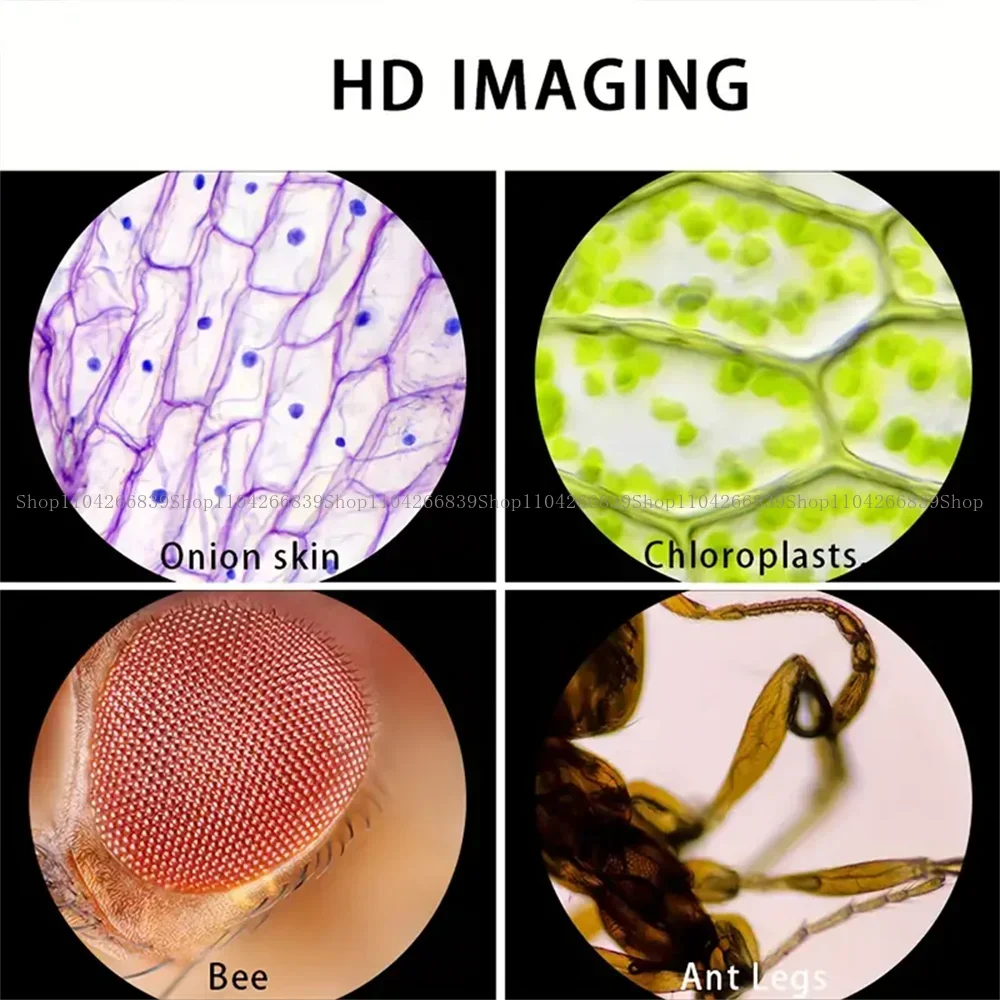 Microscope 60-120x Microscope portatif de laboratoire Microscope alimenté par batterie avec lumière LED Microscope scientifique pour enfants