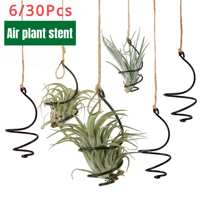 6/30Pcs Air ananas hak Tillandsia wiszący kwiat stojak garnki wystawowe wieszak na zakupy żelazko
