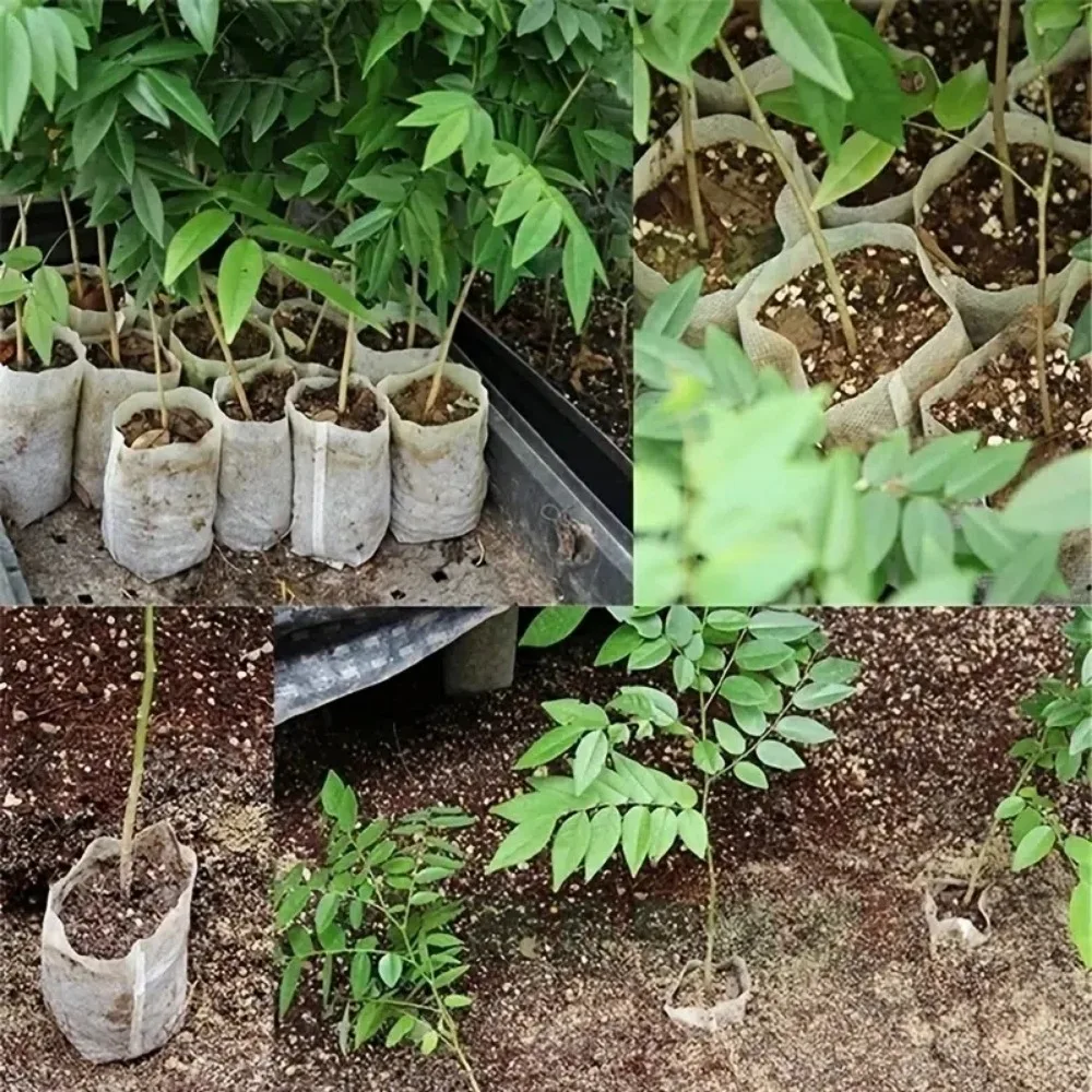 Sacchetti per vivaio per piante da piantina in tessuto non tessuto da 100 pezzi, vasi per piantare tessuti, sacchetti per coltivazione ventilati ecologici da giardino, piantagione di giardino