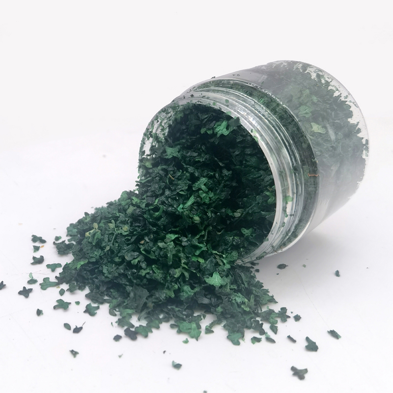 50ml/bottle Micro Landscape Leaves Diorama fake Grass Tufts Accessories Static Leaf Model for Scale Model Train Layout