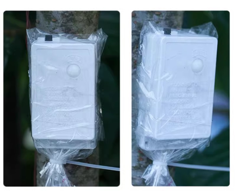 20M-100M Lucine LED String Ghirlanda Luce natalizia esterna per giardino Terrazza Albero Strada Decorazione della festa nuziale