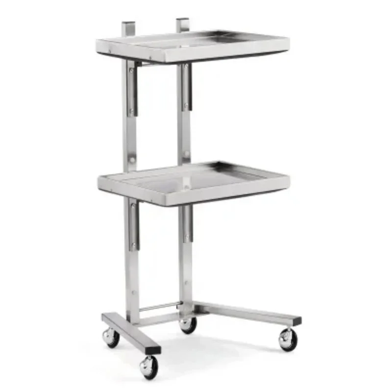 Rolling Hairstylist Cart with Removable Tray Multipurpose Storage Stand for SPA Salon and Barber Use Versatile Salon Station