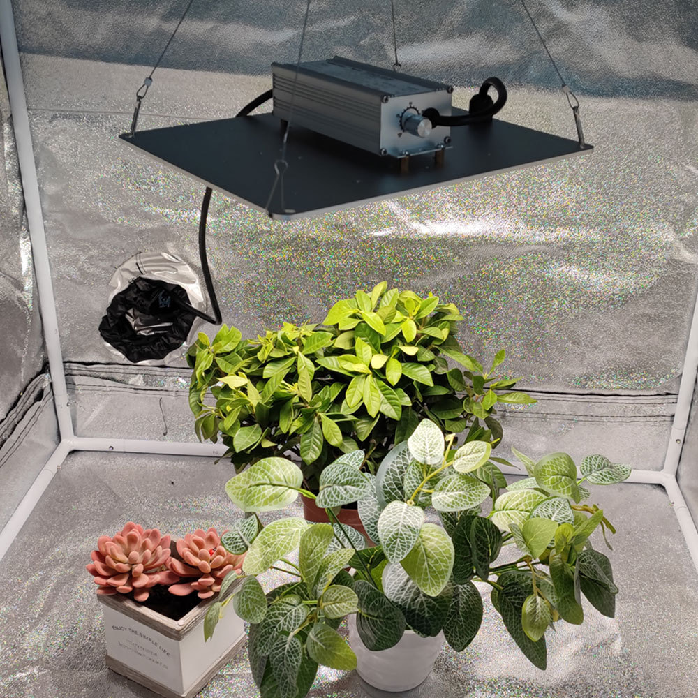 150W LED Grow Light Full Spectrum Phytolamp Quantum Grow Lamp For Indoor Plant Growth Light Greenhouse Flower VEG and BLOOM Mode