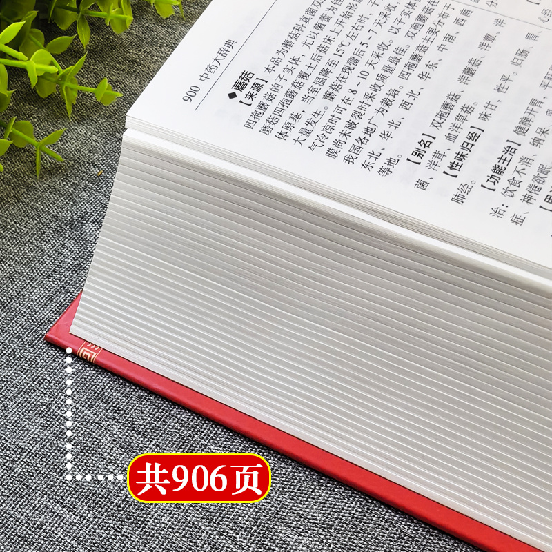 【ブランドレビュー3881.5万+ストリップ】本格中医学辞典 医学古書 薬局方 診断とメディ