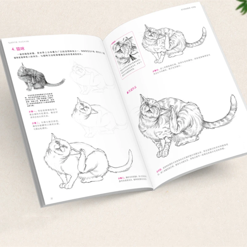 Basic Sketching Tutorial Book Plant Animal Scenery Figure Facial Sketch Textbook Zero Based Self Study Sketch Skill Detail Books