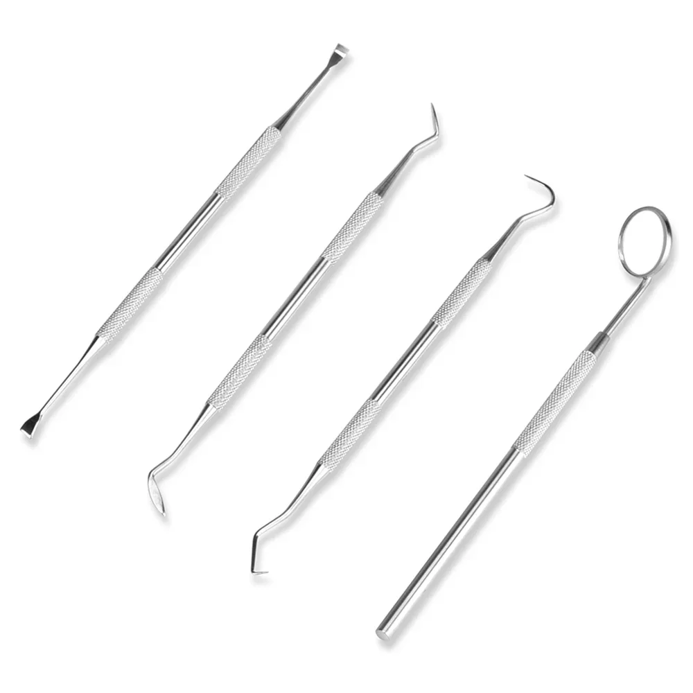 Kit per la pulizia dentale Scaler per tartaro in acciaio inossidabile Strumenti per lo sbiancamento dei denti Set per dentista portatile per l'igiene orale con detergente endoscopico