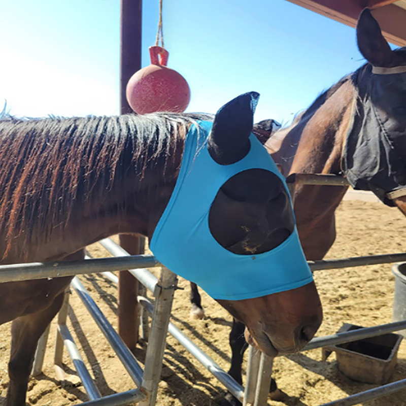 Reiten atmungsaktiv maschig Pferd Ohr abdeckung Reitpferd Ausrüstung Fliegen maske Motorhaube Netz Ohr masken Schutz Pferd