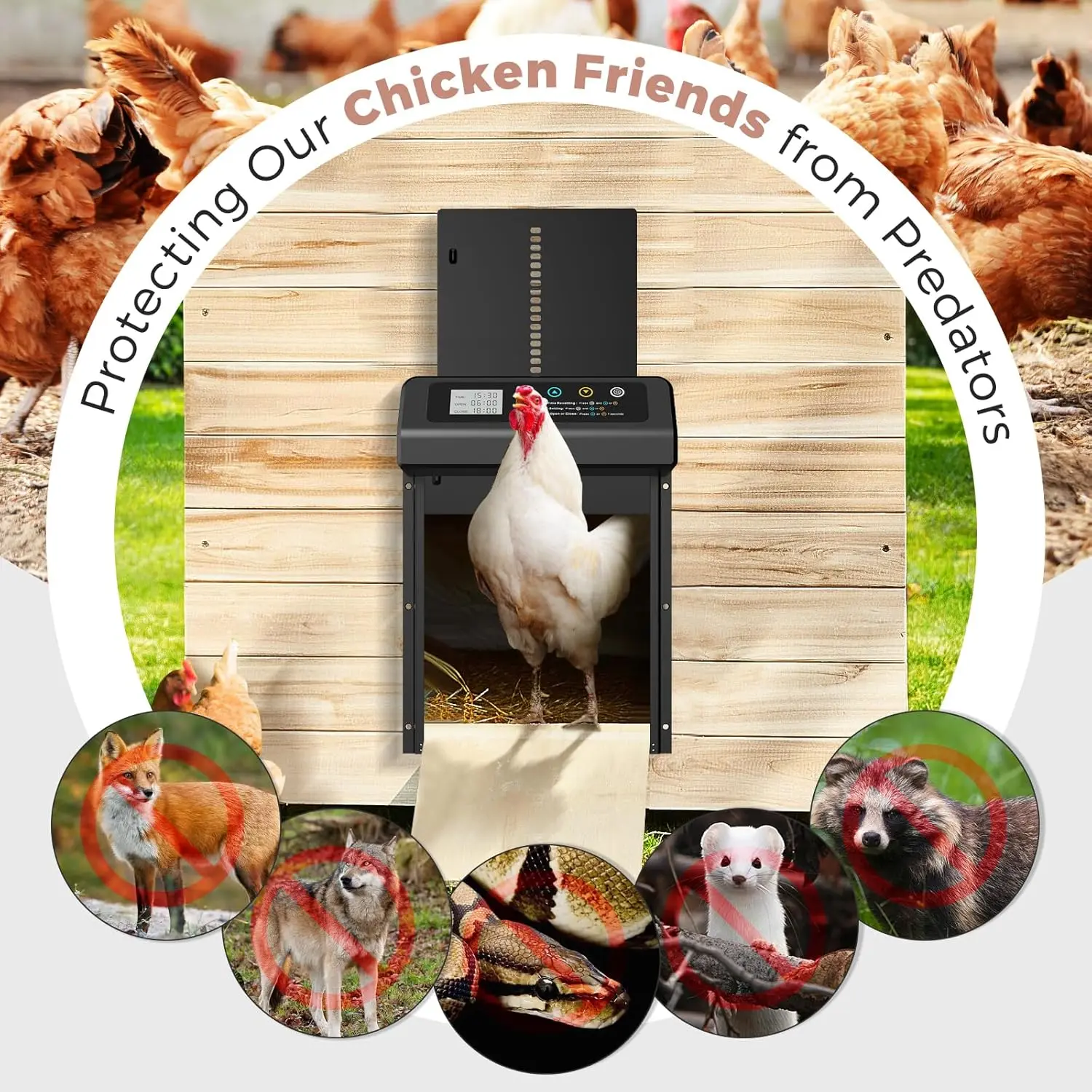 Porta automática de galinheiro, porta automática de liga de alumínio com design anti-pitada, temporizador + display LCD para casas de aves, longe