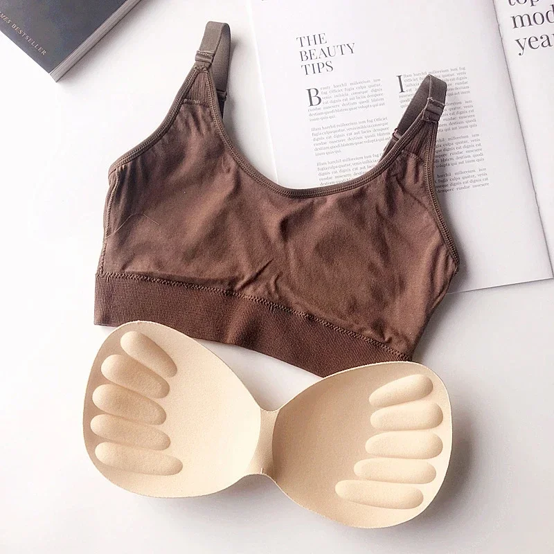 Ropa interior Sexy para mujer, lencería sin anillo de acero, sujetador, Top de tubo envuelto en el pecho, belleza en la espalda, Top de tubo de sección delgada de algodón activo