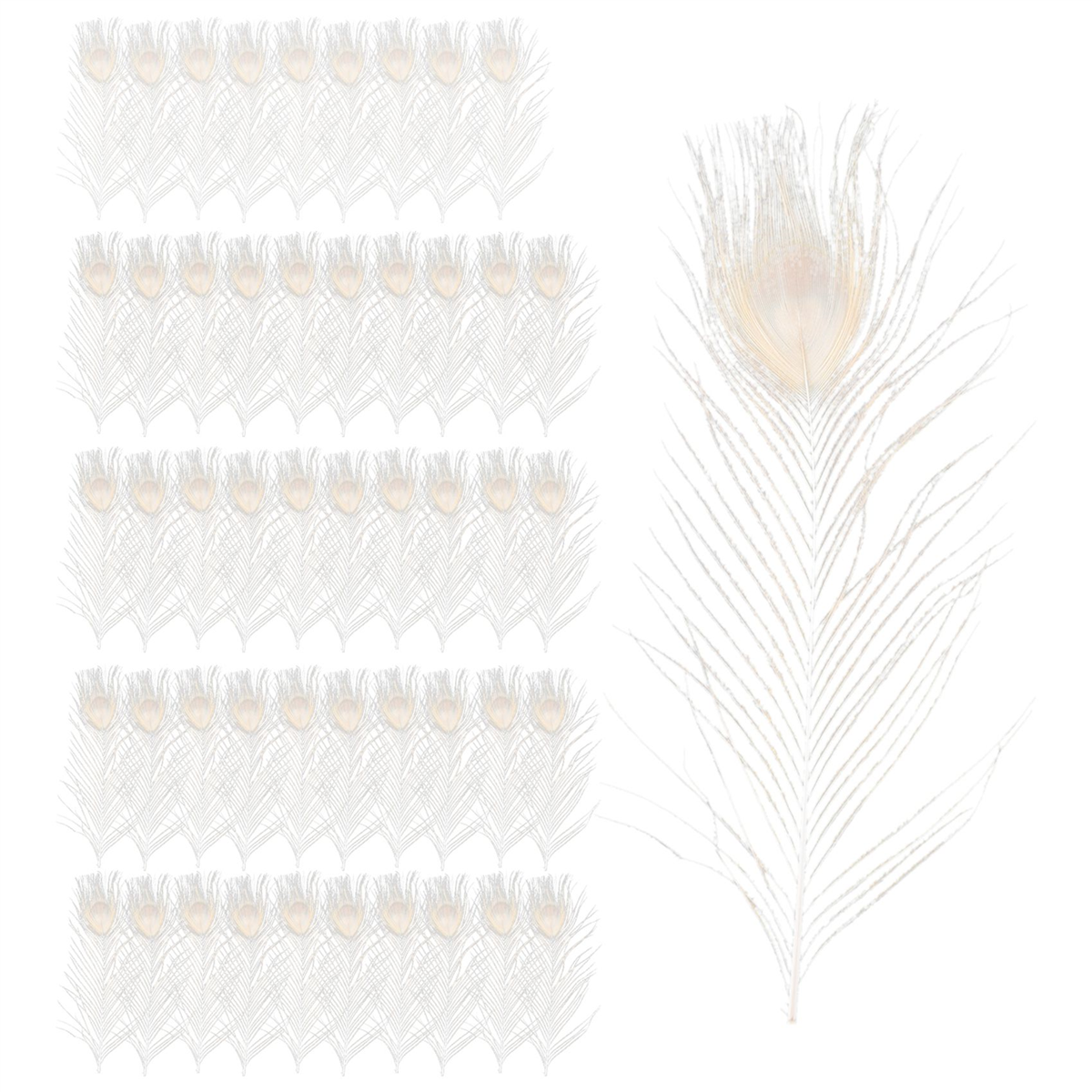 50 ชิ้น/ขนสีขาวธรรมชาติในตา 10 ถึง 12 นิ้วของตกแต่งงานแต่งงาน