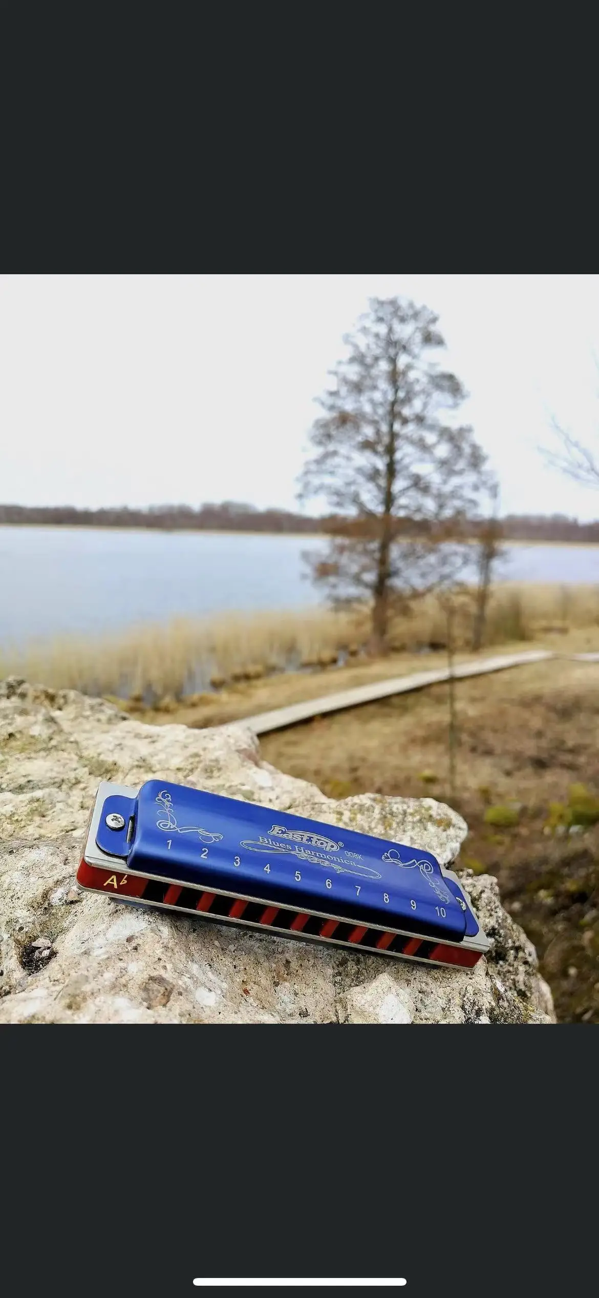 EASTTOP T008K key of A New blue color harmonica diatonic blues harp good harmonica