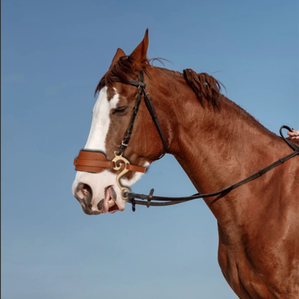 Hackamore แผ่นหนังม้าบริดเดิ้ลสีน้ำตาล, แผ่นรองจมูกปรับได้สไตล์อังกฤษสำหรับโซ่โค้งขี่ม้าอุปกรณ์ขี่ม้า