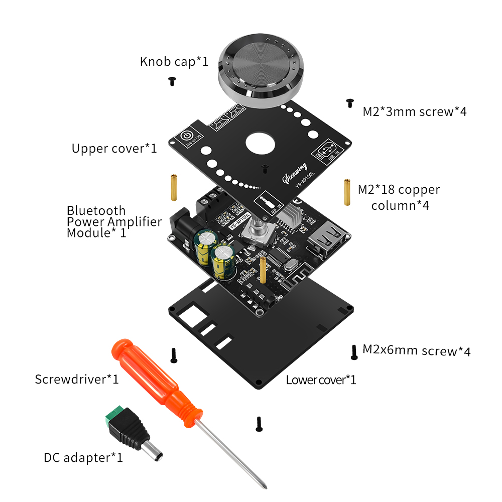 Amplificateur numérique stéréo Bluetooth YS-AP100L, caisson de basses 100W + 100W, entrée de carte son AUX USB, sortie haut-parleur actif 3.5mm