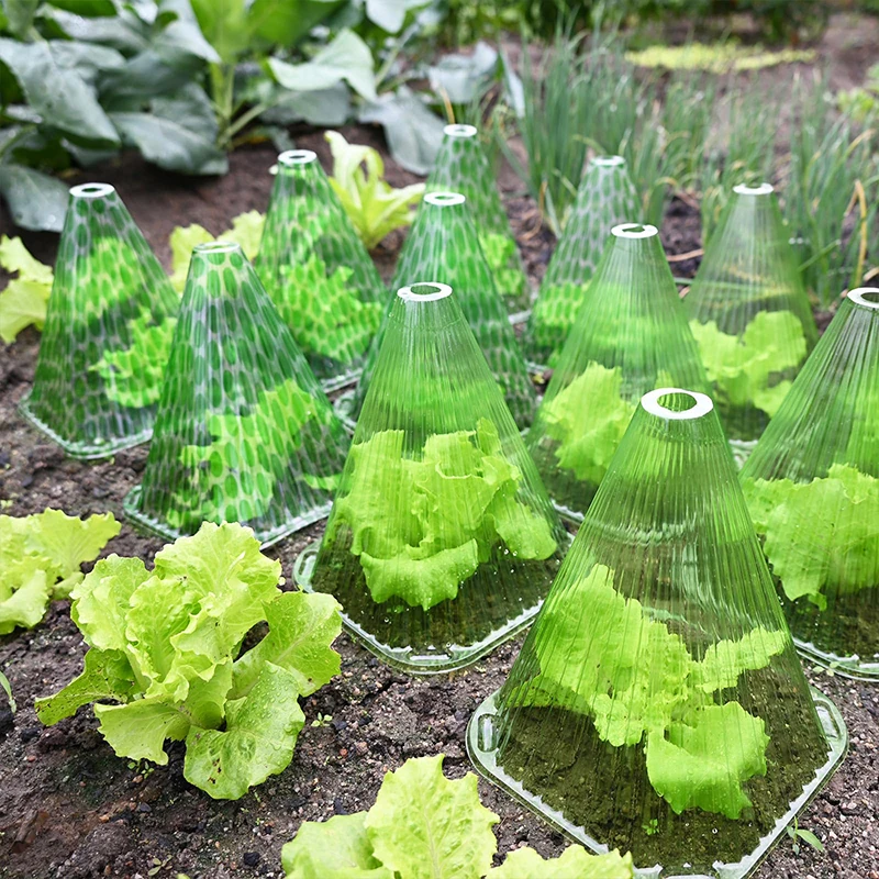 Capa protetora de plantas, suprimentos de jardim vegetal, acessórios, coleira de caracol, tampas de mudas, mini ferramentas agrícolas de estufa