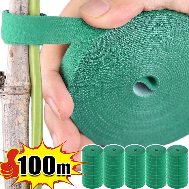 Brida para cables de nailon para plantas, 100/2M, autoadhesiva ajustable, ganchos para plantas verdes, vendaje de hilo de jardín, tiras de cinta de sujeción de soporte
