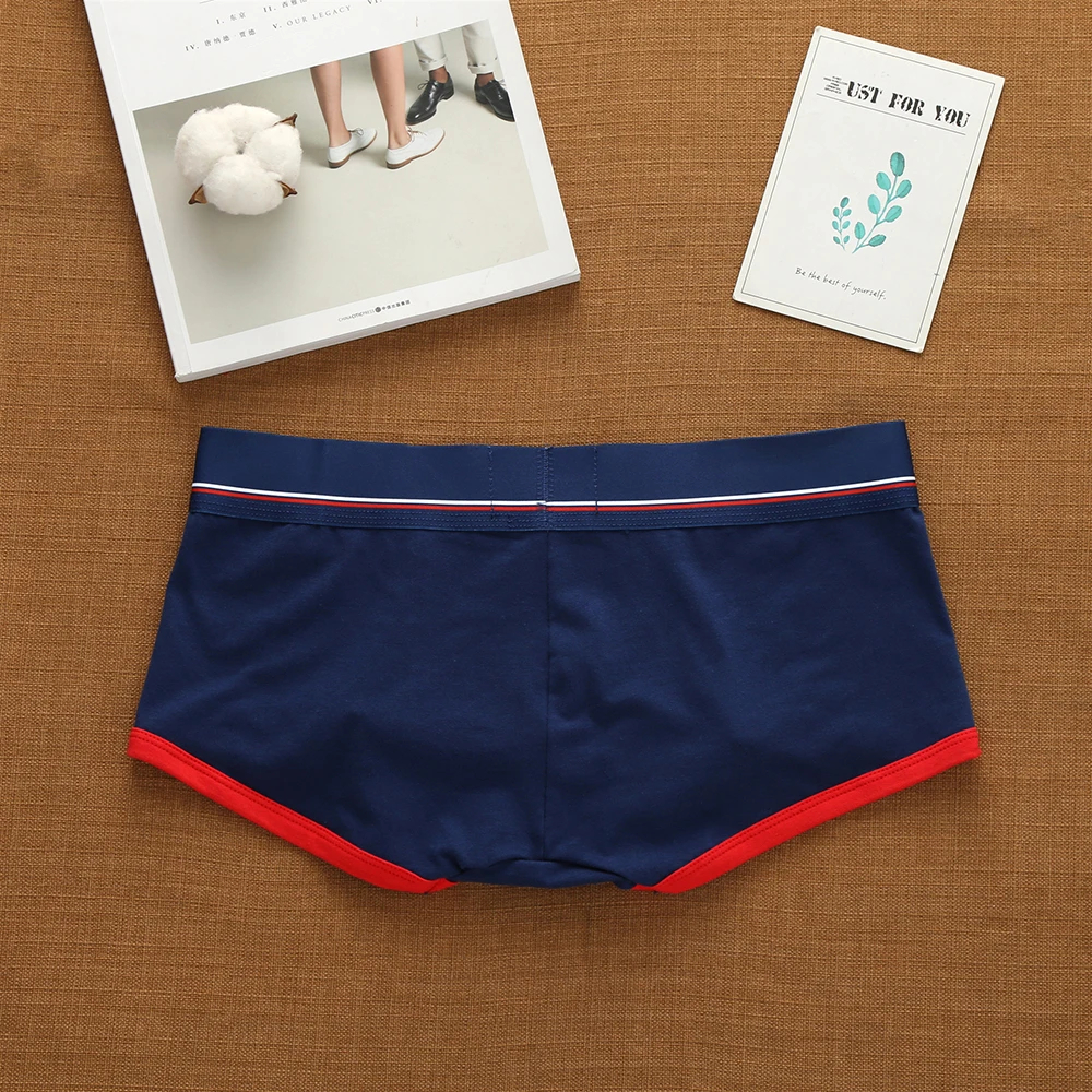 Marque hommes sous-vêtements en coton taille basse Sexy slips à la mode confortable absorbant la sueur antibactérien Boxer Shorts caleçons