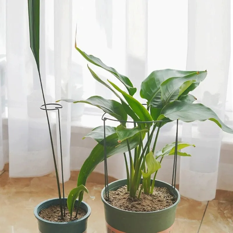 6pcs 키 큰 식물 지원 스테이크 금속 반 둥근 정원 식물 케이지 및 지원 꽃 실내에 대 한 녹색 식물 지원 반지 테두리