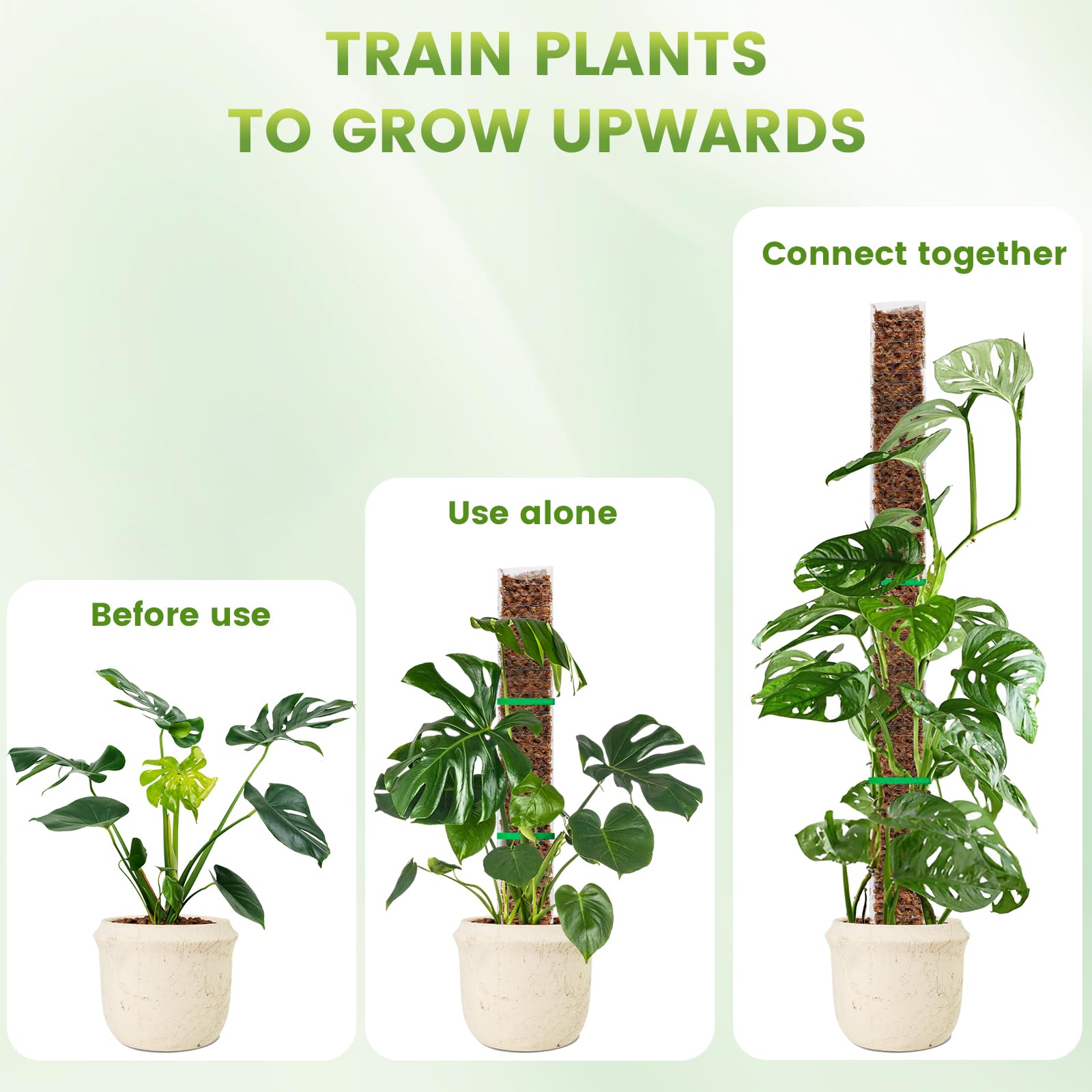 Poste de musgo de plástico para plantas monstera, postes de plantas de 24 pol./36 pol./48 polegadas para plantas de escalada, suporte para plantas internas, estaca de crescimento de jardim