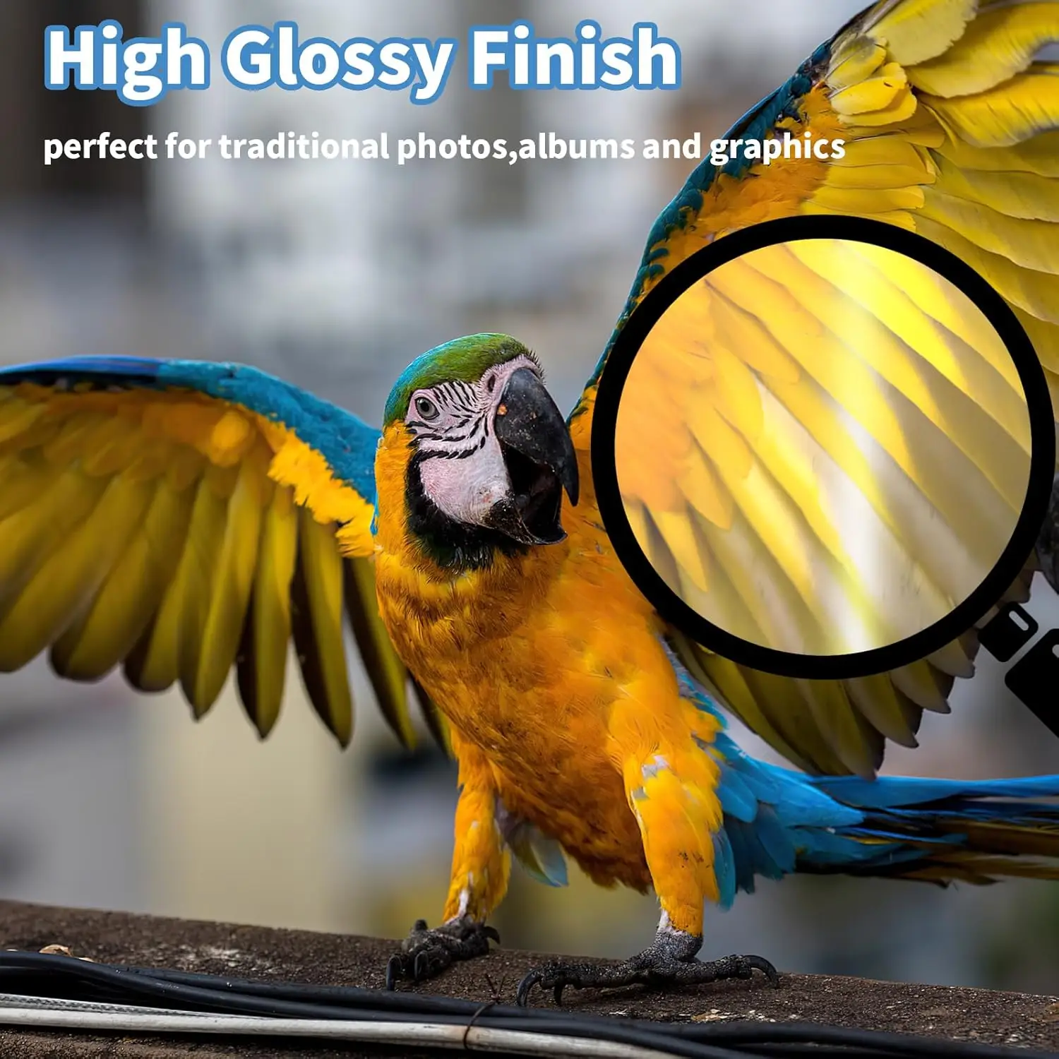 4"x 6" 4R High Glossy photographic Paper Waterproof Professional Photo Paper Works with All Inkjet Printers 230g