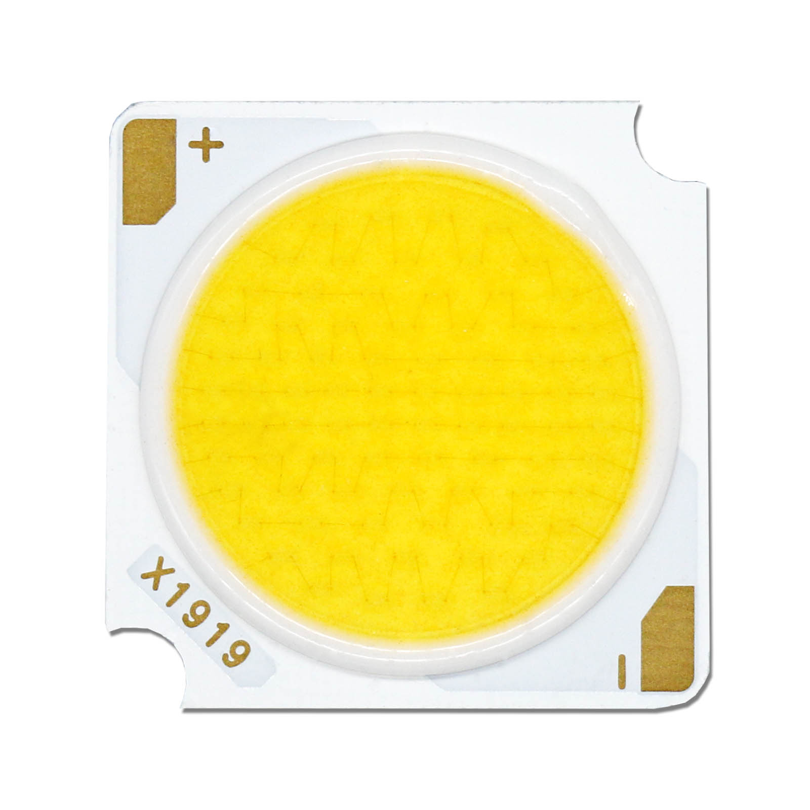 12W 18W 24W 30W 36W 42W DC36-39V Bridgelux Chip LED COB Leuchtdiode 19*19mm LED DIY LED Track Lichtquelle Zubehör