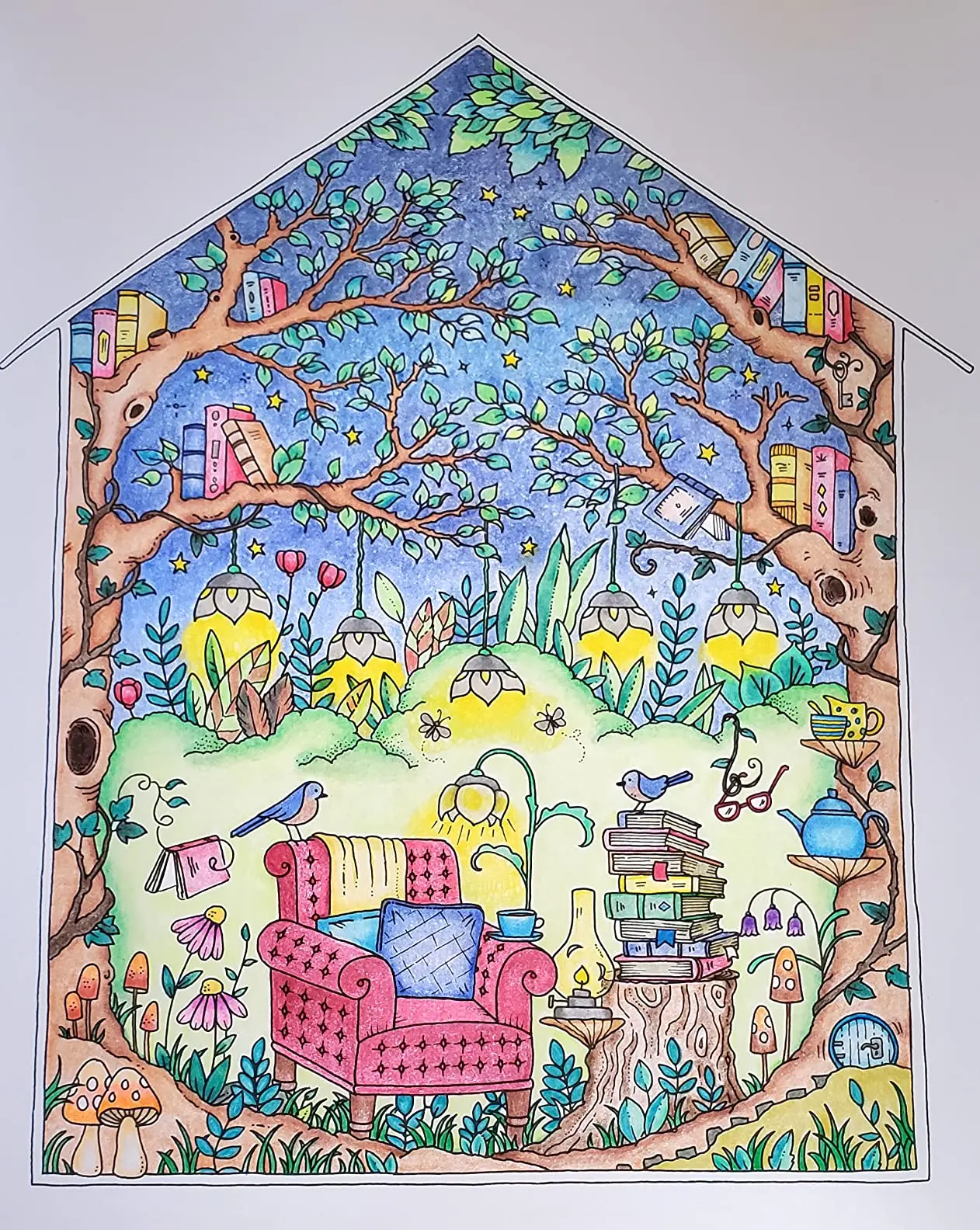 Lápis de cor para livros de colorir adultos, conjunto de lápis de cor Premier, lápis de cor à base de óleo de qualidade, presentes de feriado