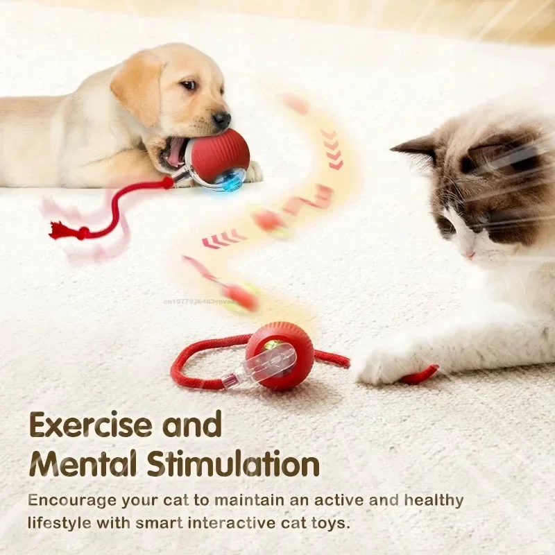 Interactive Cat Toys Automatic Rolling Ball Fake Tail Rechargeable Electric Pet Interactive Toy Dog Training Imitate Mouse Tail