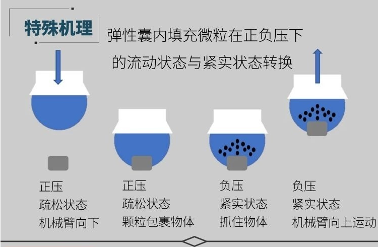 Garra de Robot Flexible multifuncional de carga de 300g, pinza robótica para manipulador manual, garra con Kit de Controlador neumático