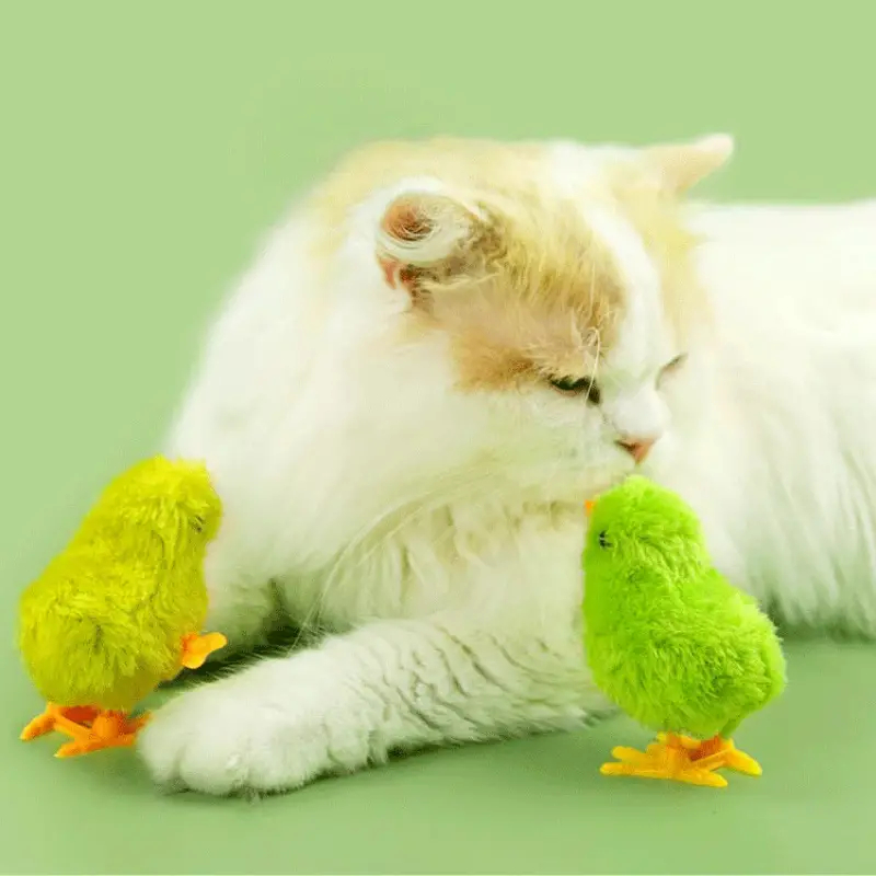 Carica che salta Regali interattivi pollo Divertente Teaser per animali domestici Gattini Giocattoli Forniture per cani da compagnia Giocattoli per gatti Giochi Accessori Giocattolo per gatti