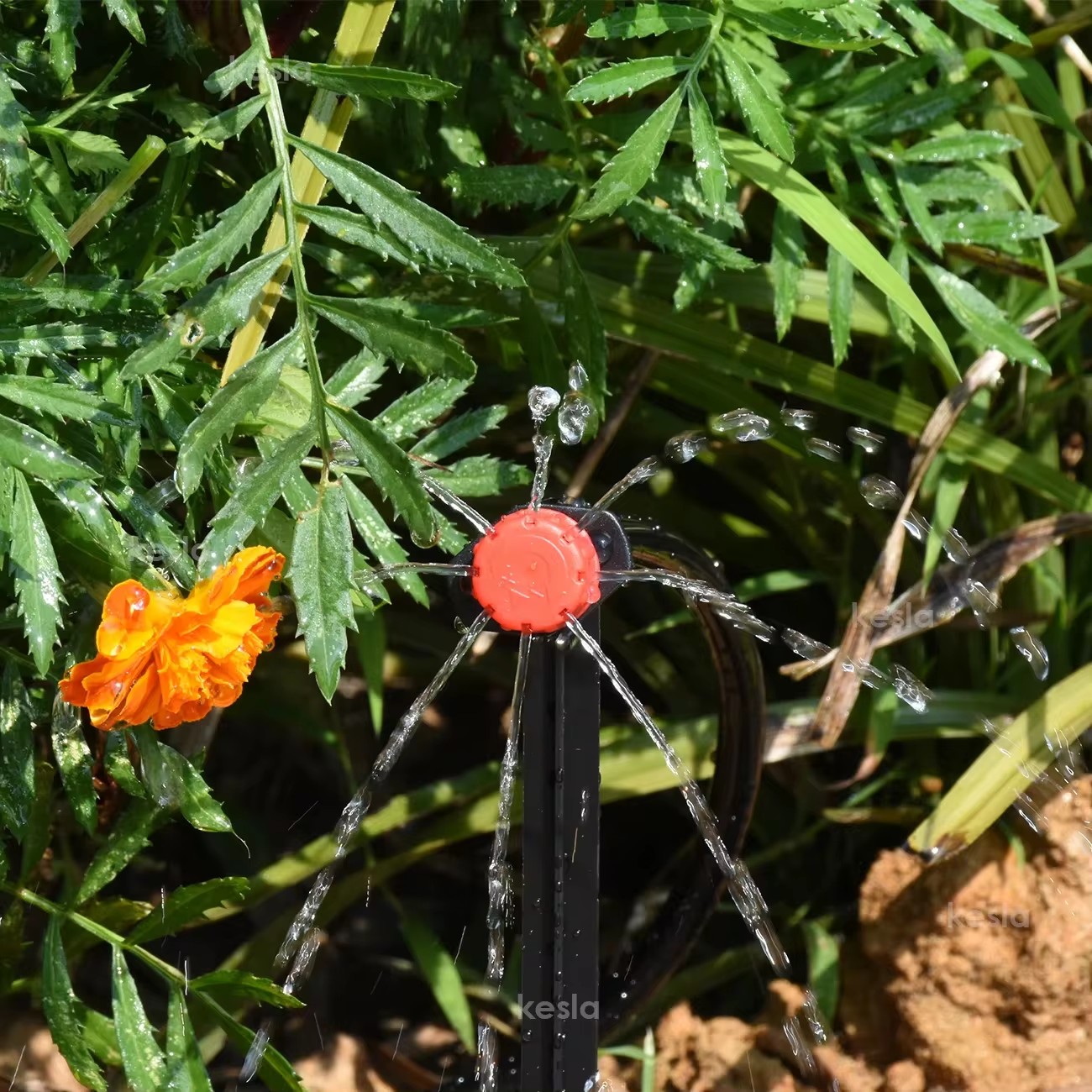 Connecteurs barbelés d'irrigation goutte à goutte, raccords de tubes de 4/7mm pour Pot de fleur, jardin et pelouse, 1 à 50 pièces