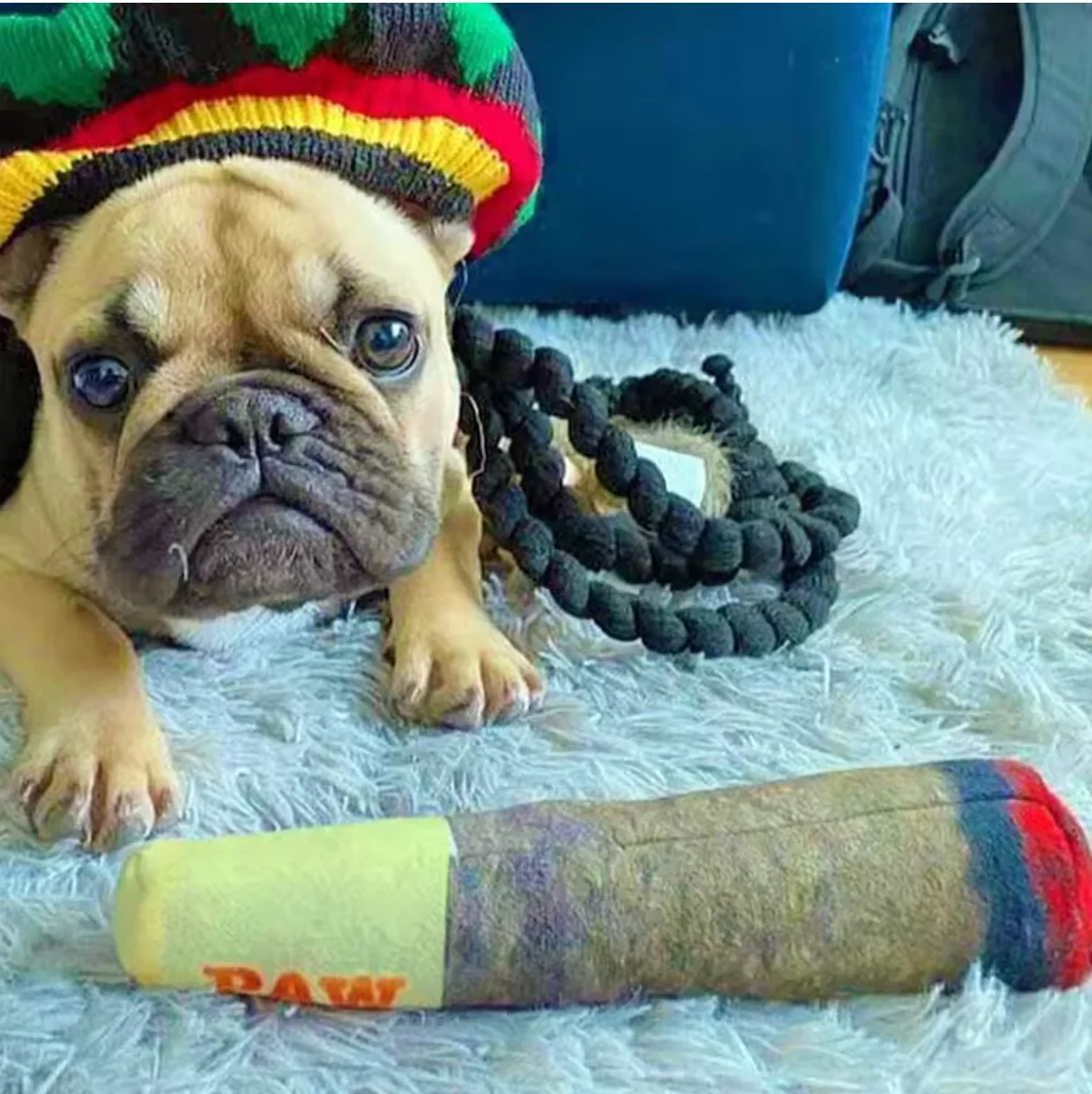 Grappig interactief hondenspeelgoed - Sigaarontwerp Pluche piepend huisdierspeelgoed Tandenslijpen Creatief kauwspeeltje voor kleine middelgrote honden