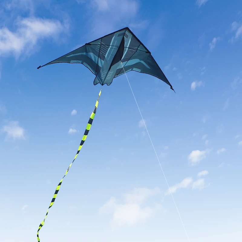Yongjian 2m Aircraft Kite Delta Kite Adatto per il campeggio all'aperto con grandi aquiloni per adulti Attività di campeggio sulla spiaggia