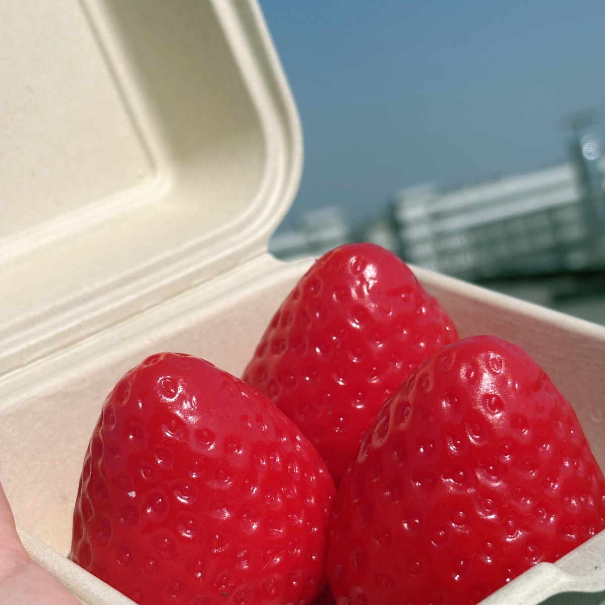 Nieuw en schattig gesimuleerd aardbei-knijpspeeltje, ontspannen vingertopspeelgoed voor decompressie, verjaardagscadeaus voor klasgenoten, vrienden a