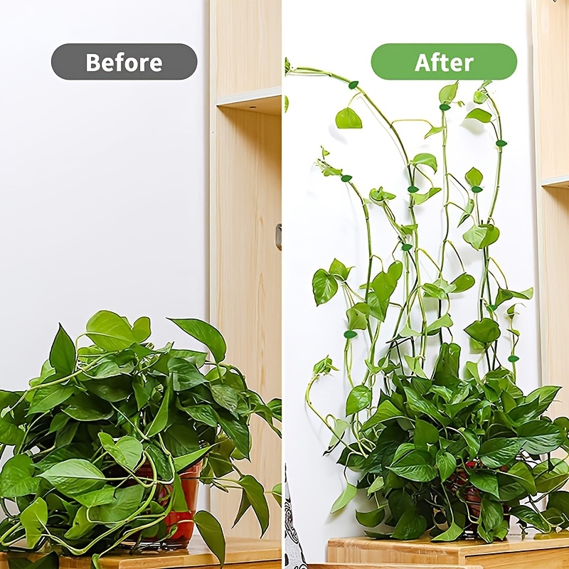 Set da 10 pezzi Strumenti per arrampicata su parete di edera verde Ganci autoadesivi per piante da interno Fissatori per riporre oggetti da parete Pratico arredamento verde