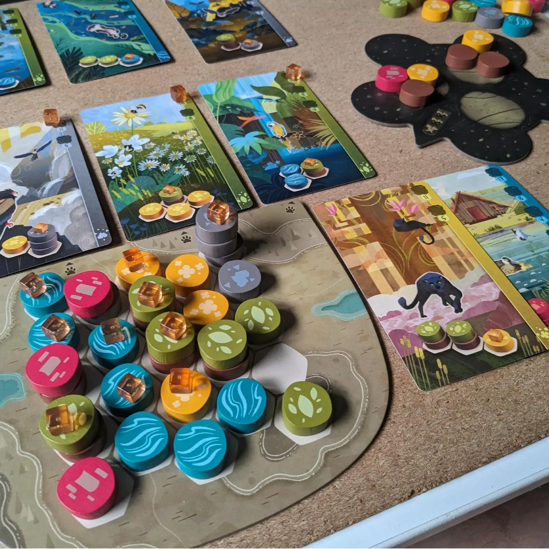 Board Games-Harmonies-Creation of Landscapes and Habitats for Animals - Strategy and Creativity - For Ages 10 and Above