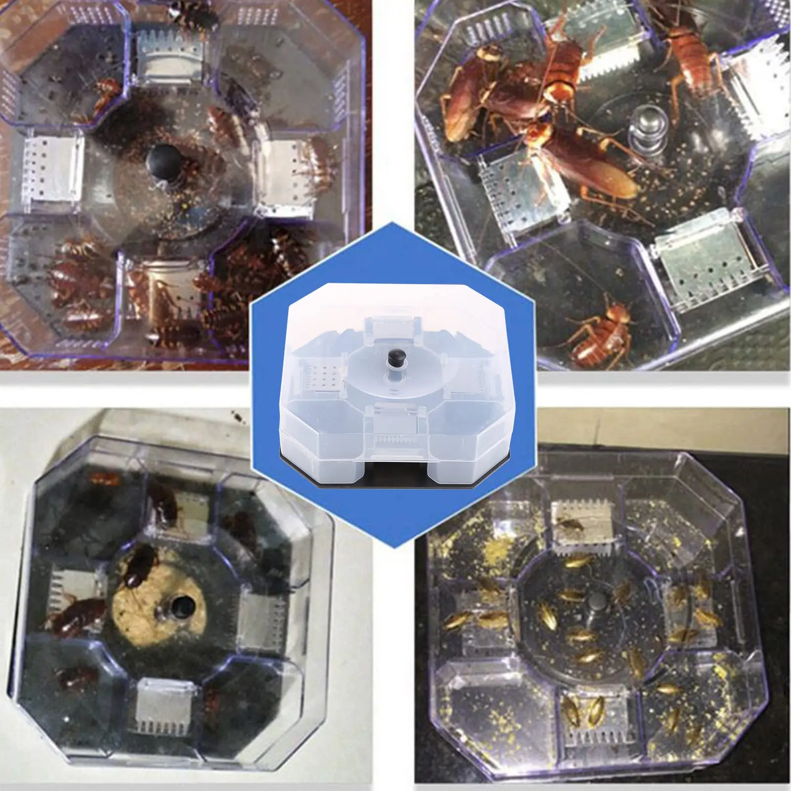 Armadilha de Barata Interna e Ferramenta de Captura de Bug Home Kitchen Safety Box, Tamanho do Bug Físico, Pass Kill Trap