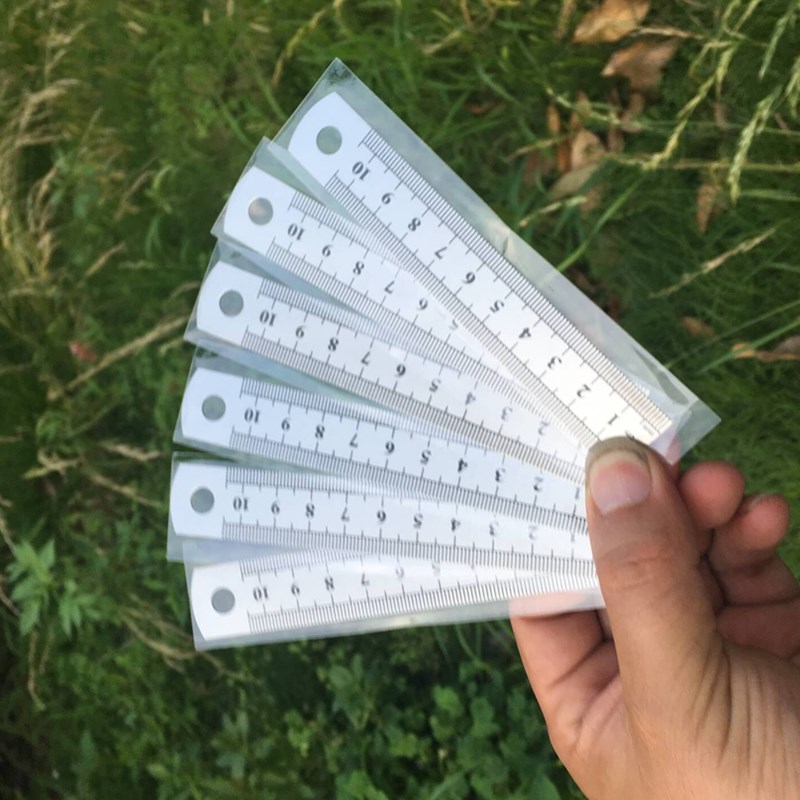 Righello dritto in metallo in acciaio inossidabile da 10 cm, doppia scala, strumento di misurazione in pollici, materiale scolastico per ufficio, artista, studente, disegno di cancelleria