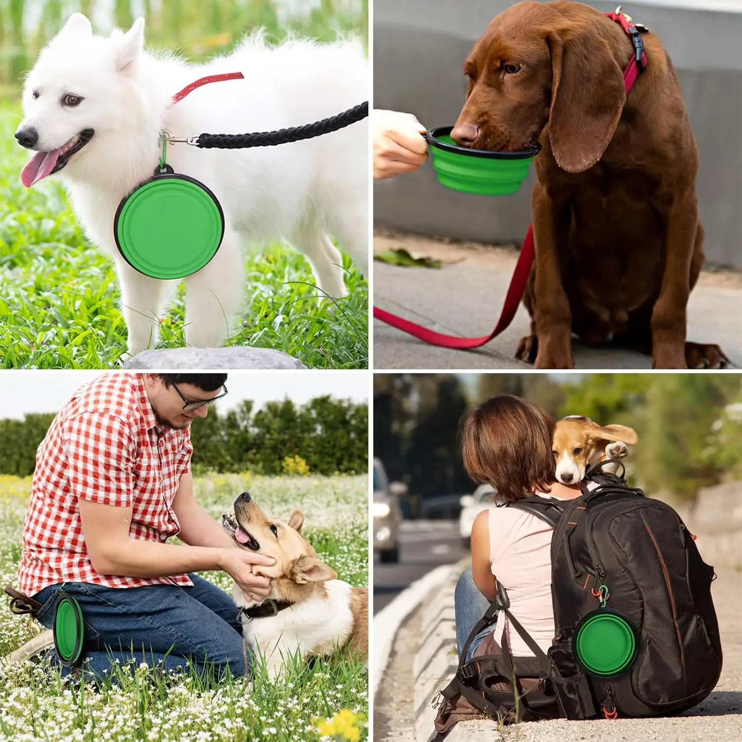 Ciotola per cani pieghevole TPR |   Piatto d'acqua pieghevole per alimenti per animali domestici |   Flessibile, senza BPA e portatile per i viaggi