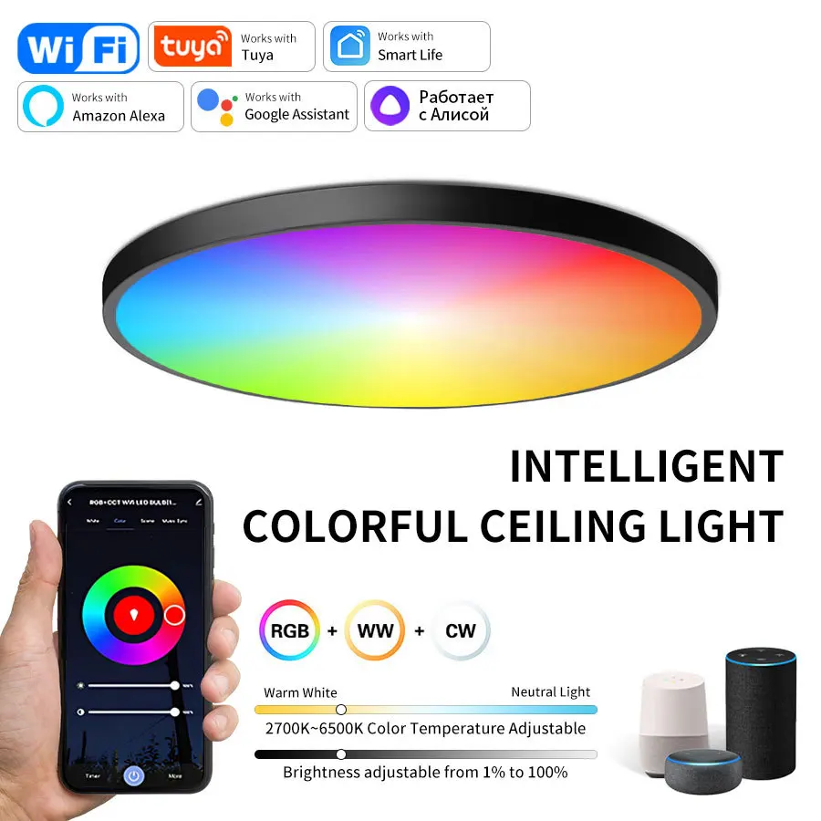 Tuya Smart WiFi Bluetooth Plafoniera a LED AC85-265V 24W RGB WW CW Lampada da soffitto rotonda Vita intelligente APP Alexa Geogle Controllo vocale