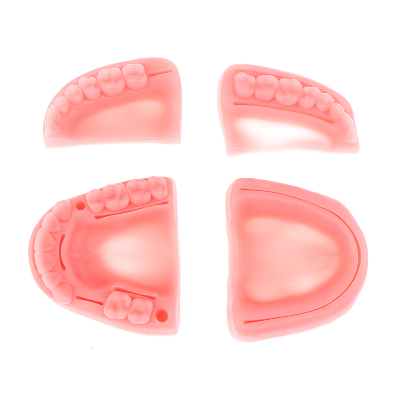 Módulo de Treinamento de Sutura Oral e Gum, Periodontite Silicone, Modelo, 2 PCs/Set, 4 PCs/Set