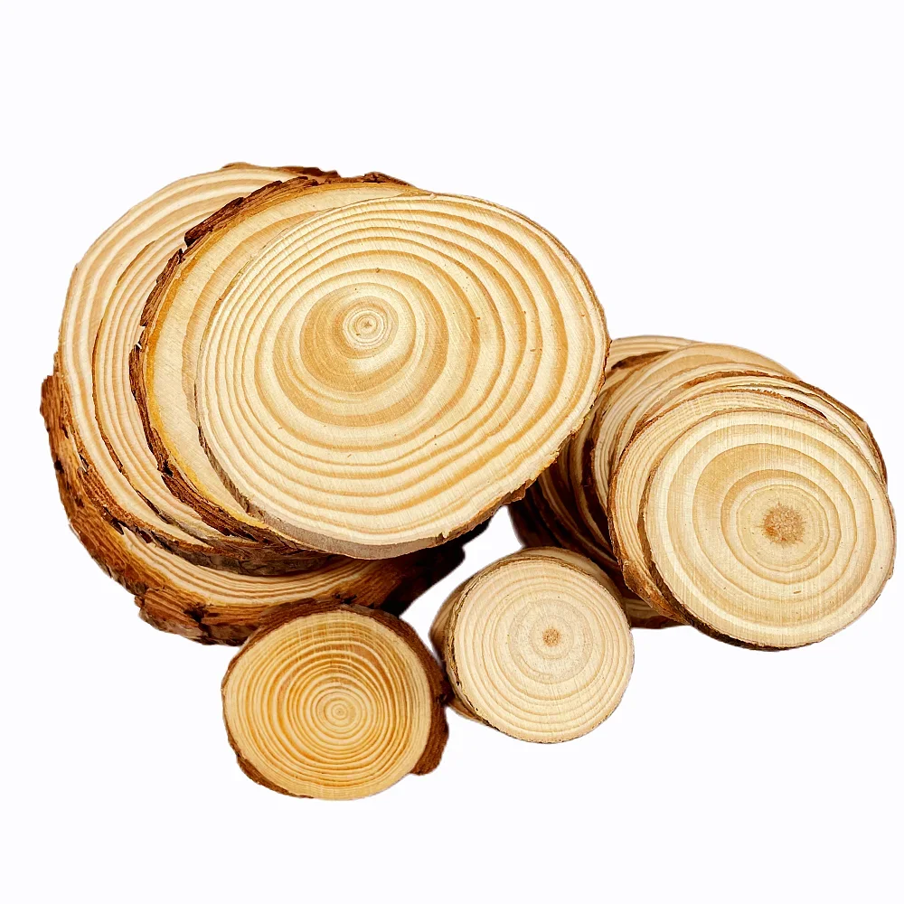 3-12 ซม.หนา 1 แพ็คสนธรรมชาติรอบไม้ชิ้นวงกลม Tree Bark Log แผ่น DIY งานฝีมืองานแต่งงานภาพวาด