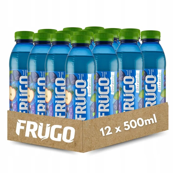 FRUGO Blue Berry & Kombucha Napój wieloowocowy niegazowany 500 ml x 12 sztuk