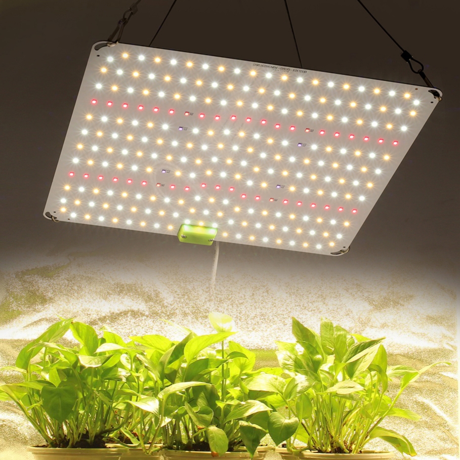 Voll spektrum LED wachsen Licht hoch ppfd Super helligkeit lm281b für Gewächshaus Hydro ponik wachsende Lampen Pflanzen