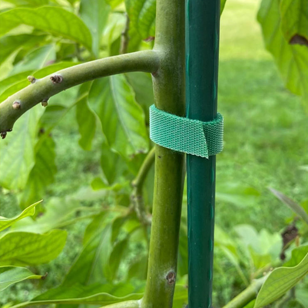 5M/10M Rücken an Rücken Klettverschluss Pflanzenband Klettverschlussband Nylon Selbstklebender Haken Haar Gleiche Datenkabelbinder